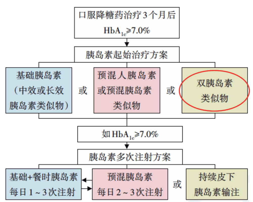 新澳门资料大全正版资料，探索与解读