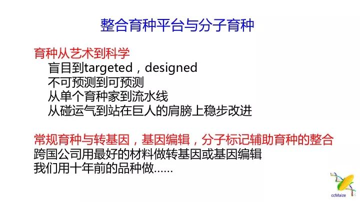 新澳内部一码精准公开，揭示背后的风险与挑战