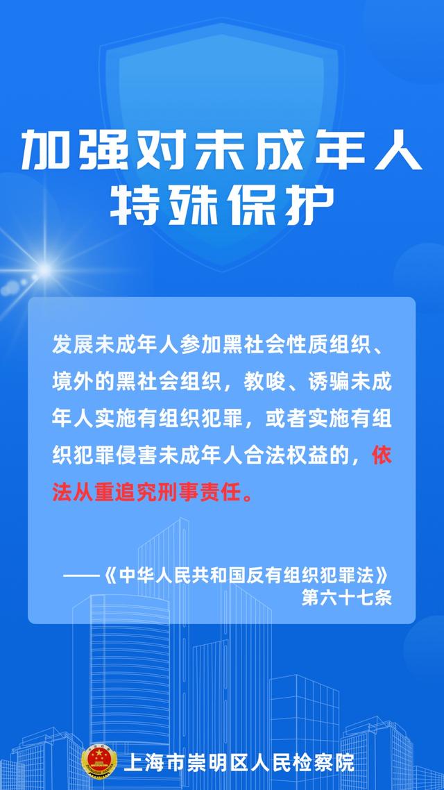 关于新澳门内部资料的精准大全，揭示违法犯罪问题的重要性