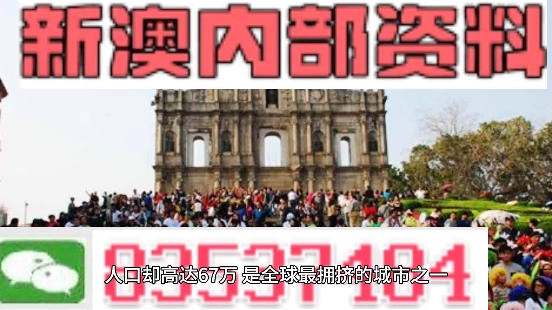 新澳门免费全年资料查询，探索与解读