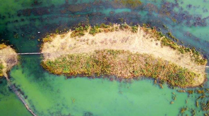 邗江北湖湿地公园最新消息，生态建设的璀璨明珠